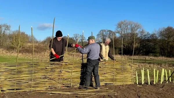 Our New Wetland - Squelch!