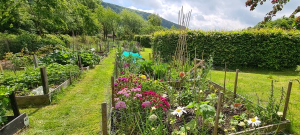 Focus On Our Community Gardens
