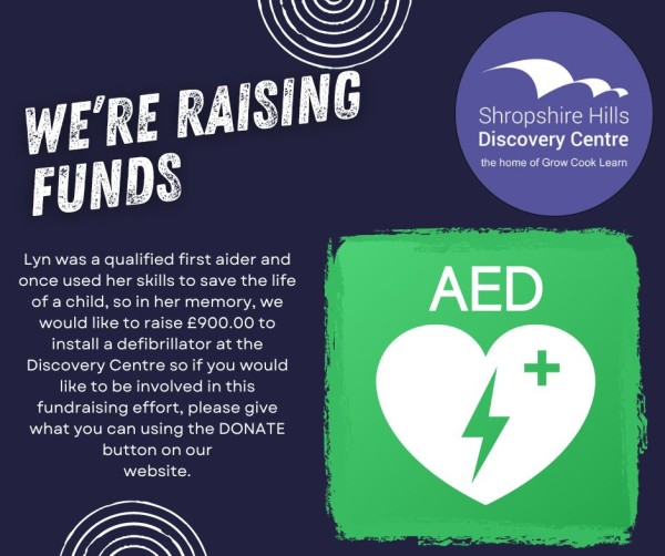 Raising funds in memory of Lyn