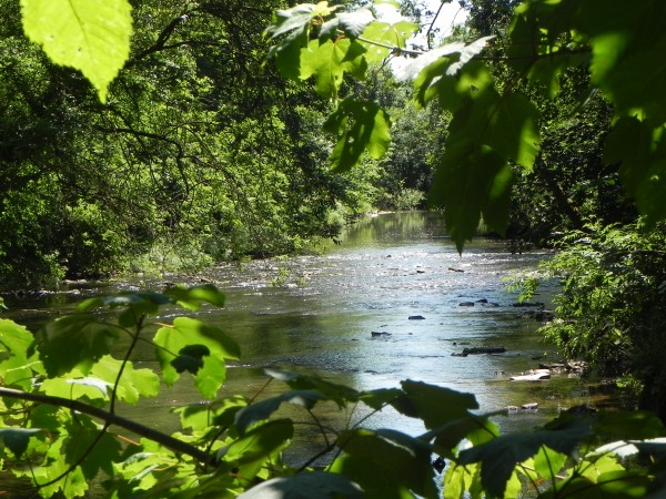 Save the Onny, Stop the Pipe!