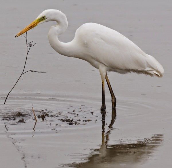 Exciting spot in the Meadows!