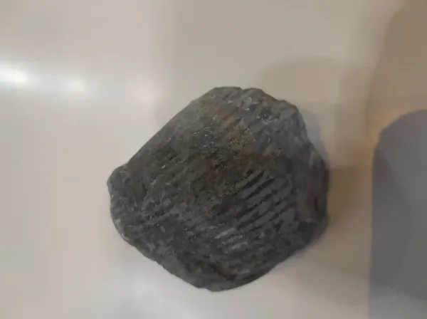 Interesting Specimen