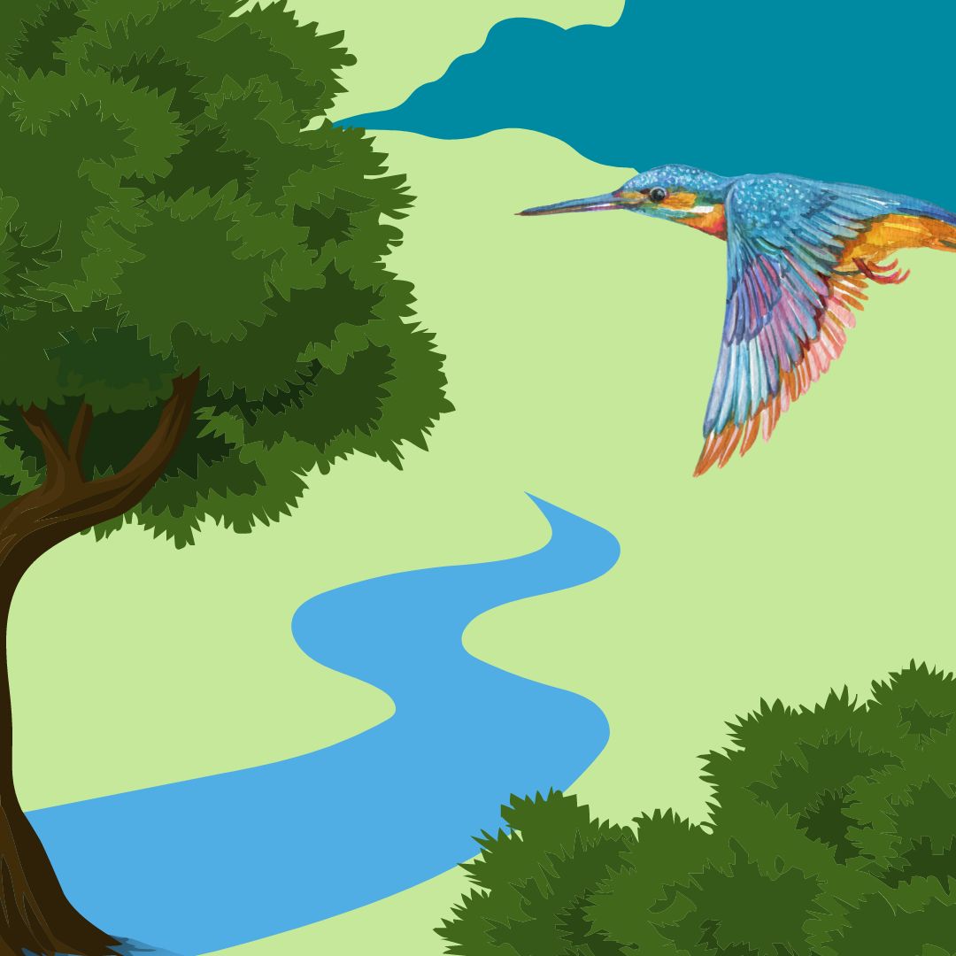 2os0k7j8xlkg5vm-jpg-v-1712239044