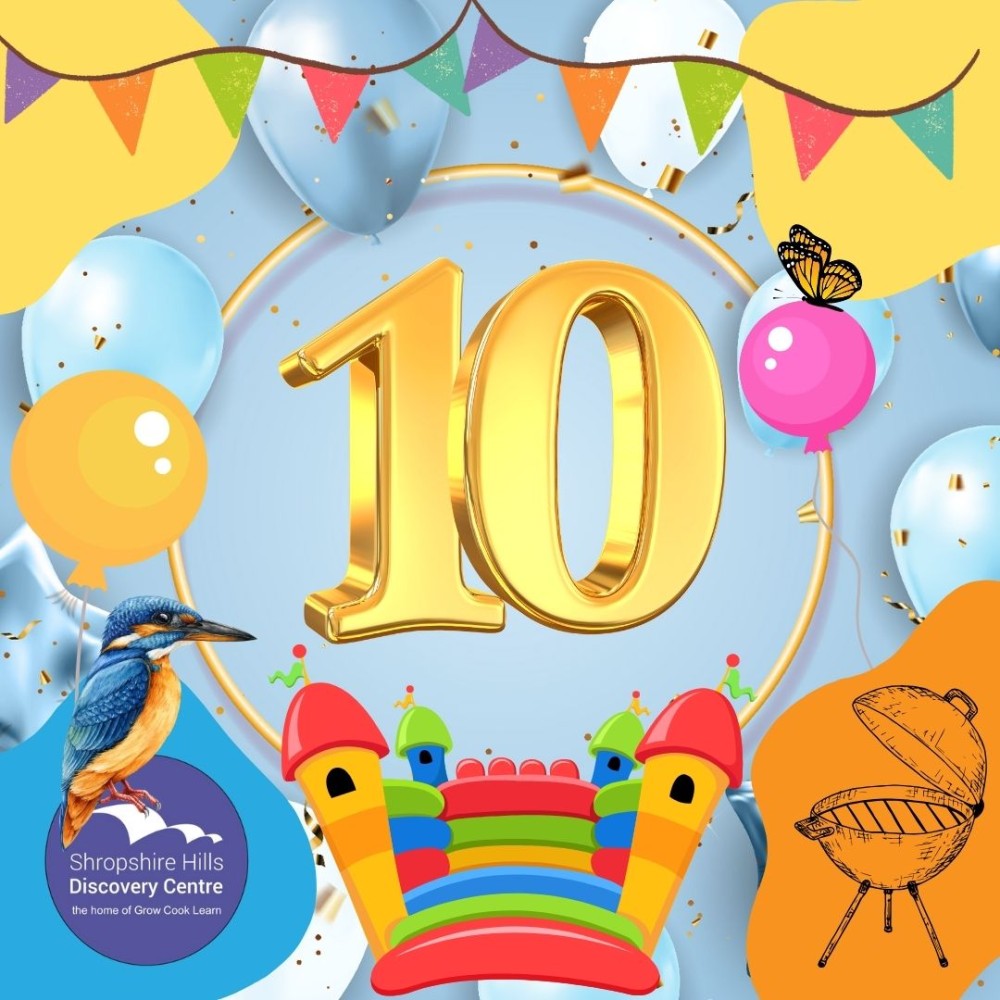 Birthday BBQ and Nature Fun Day