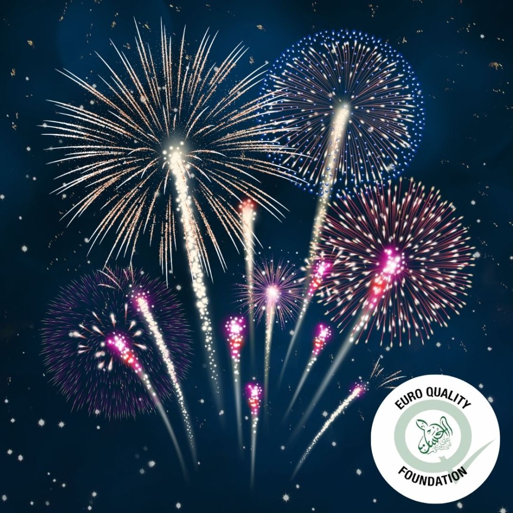 Bonfire and Fireworks