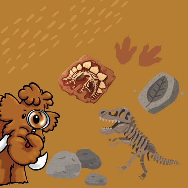 Dinosaur Discoveries