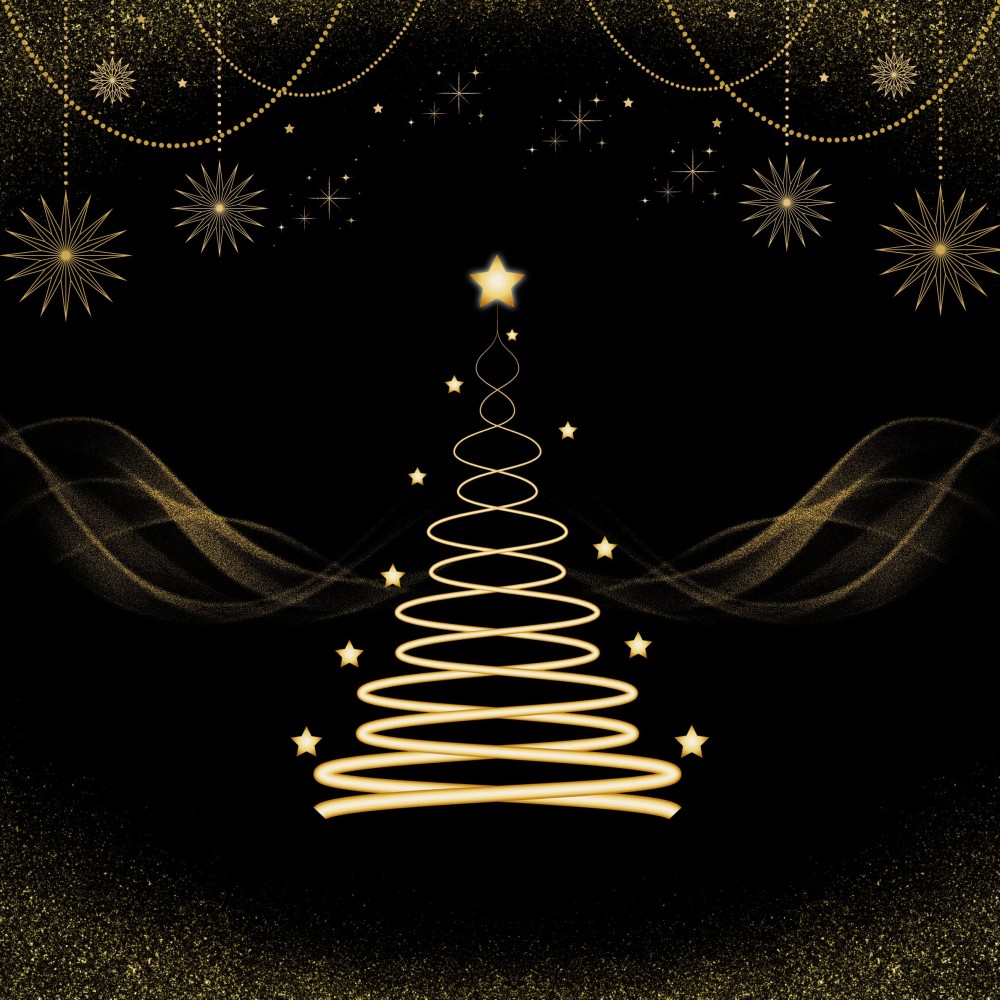 Christmas Party Night
