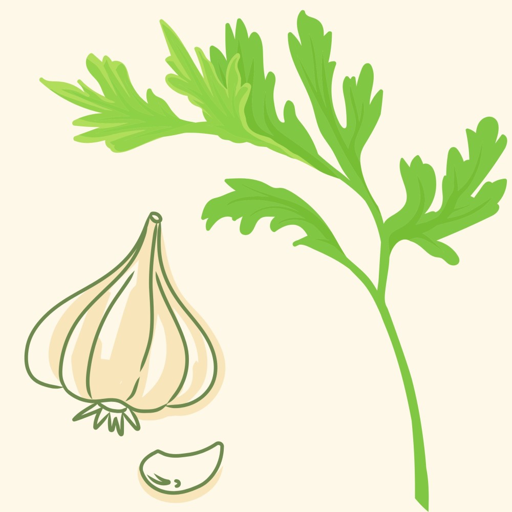 Wild Garlic Cookery Workshop