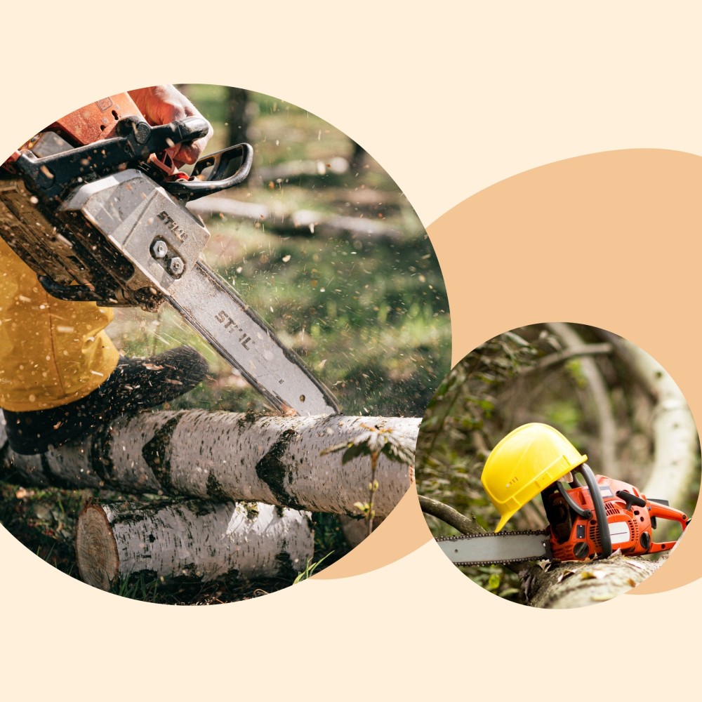 Chainsaw Maintenance and Cross Cutting